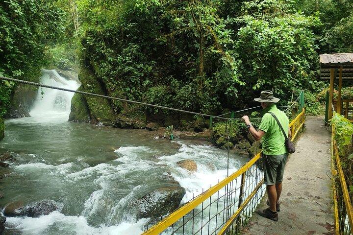 Mindo Cloudforest Tour privato di un'intera giornata da Quito