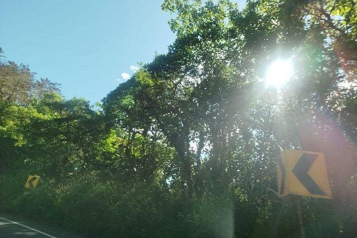 Mindo Cloudforest Tour privato di un'intera giornata da Quito