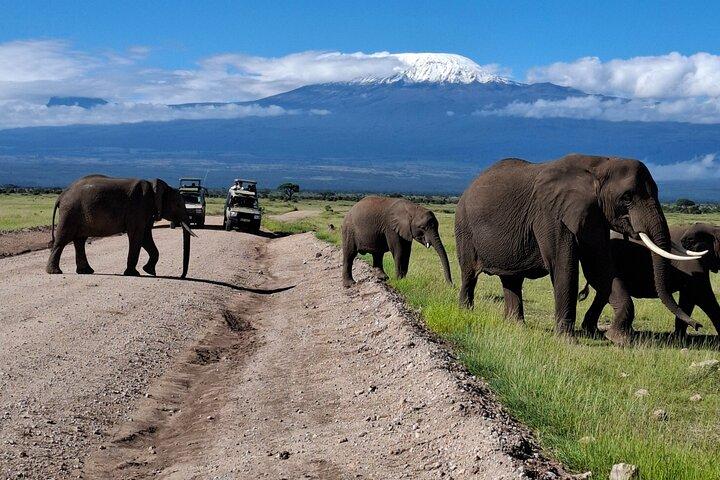 Aventura Privada: Amboseli Park & Kilimanjaro views
