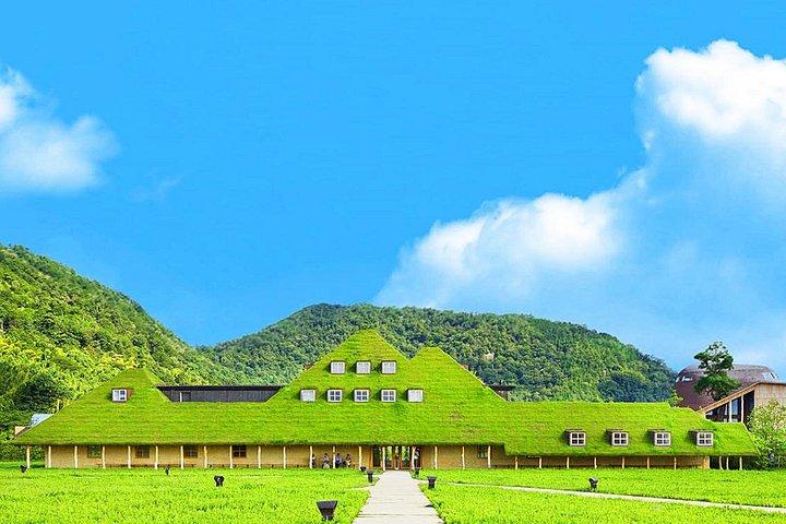 大阪：琵琶湖、白鬚神社、近江の見どころ日帰り旅行