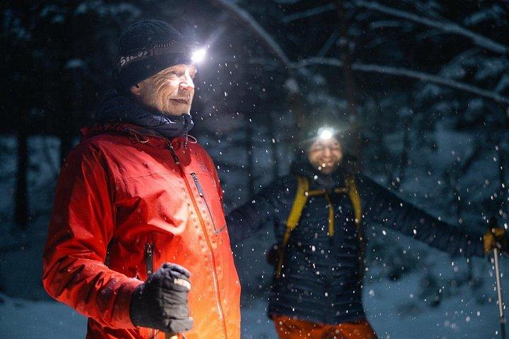 Private Mystery Night Walk with Headlamps