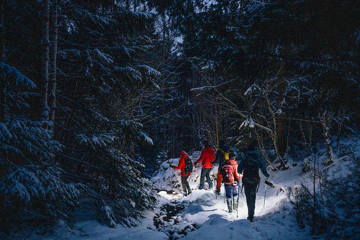 Private Mystery Night Walk with Headlamps