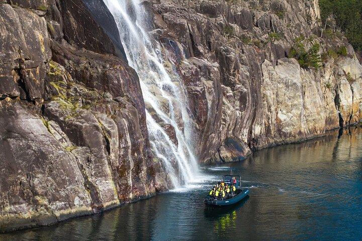 RIB äventyr i Lysefjorden med fjord sightseeing