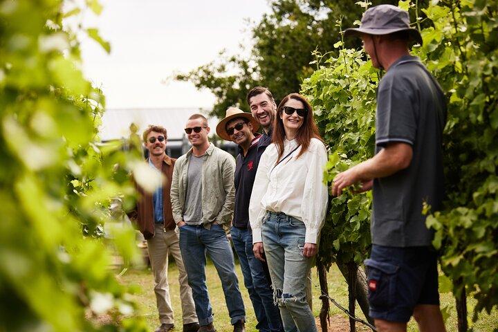 Richmond und Weintour