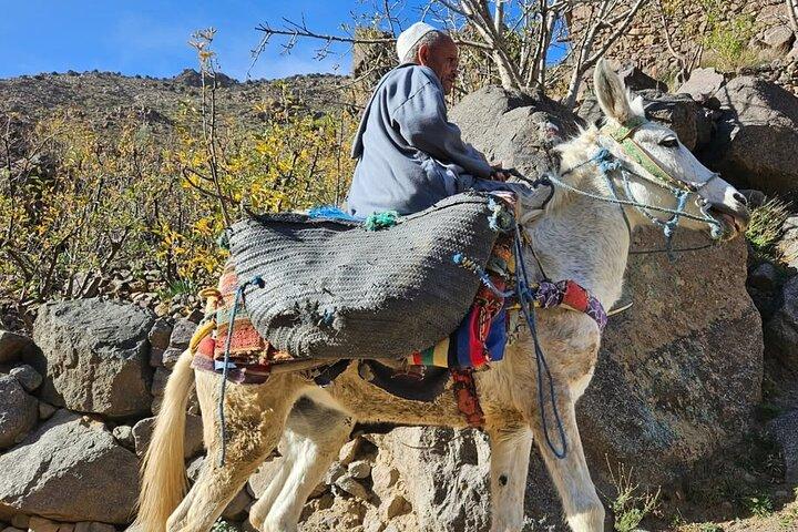 Dagstur til Imlil Valley og High Atlas