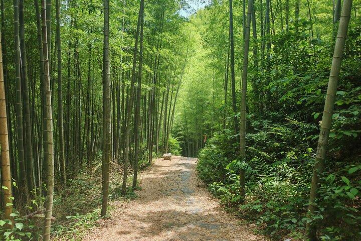 現地ガイドとドライバーによる南京ハイキングツアー