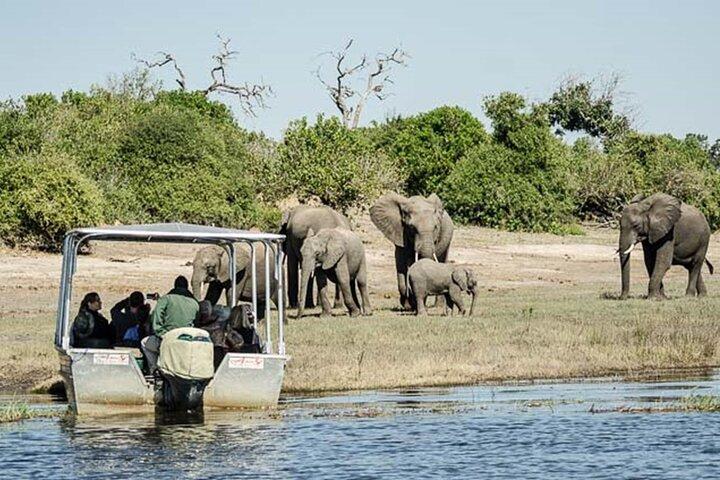 ビクトリアフォールズチョベ国立公園日帰りツアーから