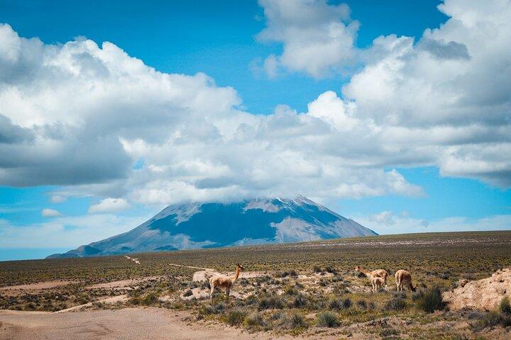 Explore Puruña Stone Forest & Pillones Waterfalls – Full-Day Tour