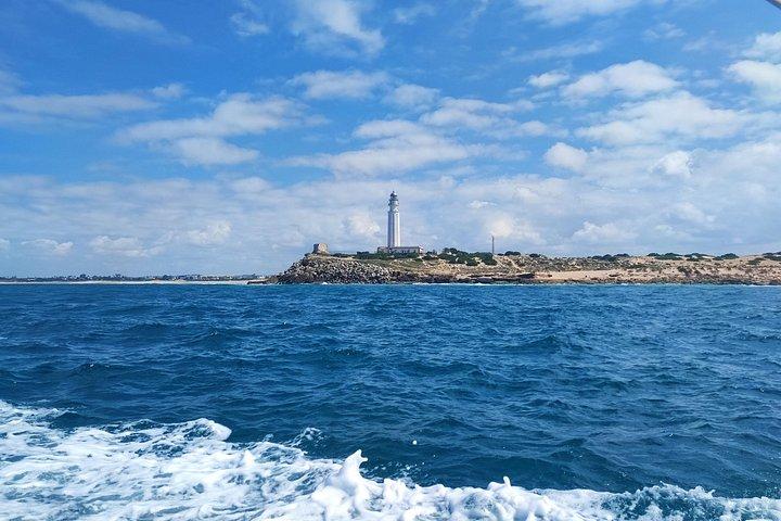 トラファルガー、カディスのプライベートボートツアー（食前酒とシュノーケリング付き）