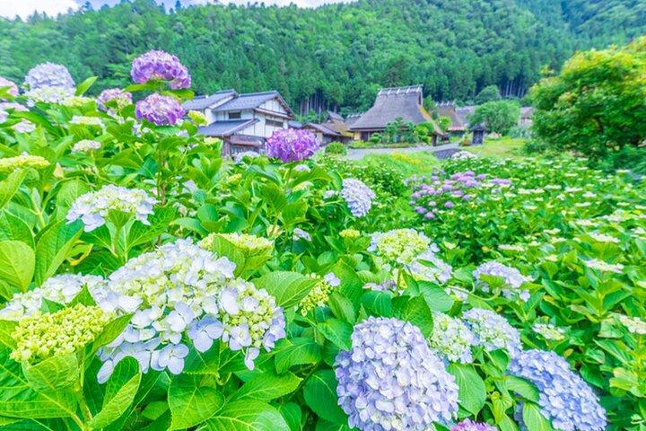 Excursión a la aldea de paja de Ine Funaya y Miyama
