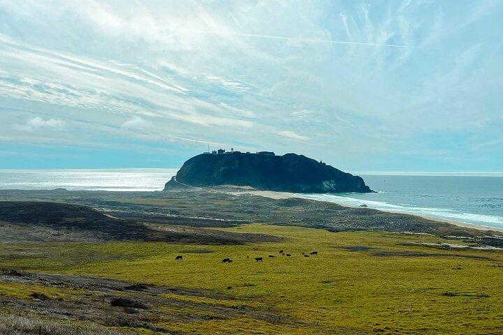 3 - Dag Private Pacific Tour til Big Sur, Hearst Castle, og mere
