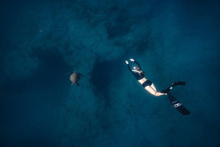 Two Tank Morning Reef Dive and Snorkel