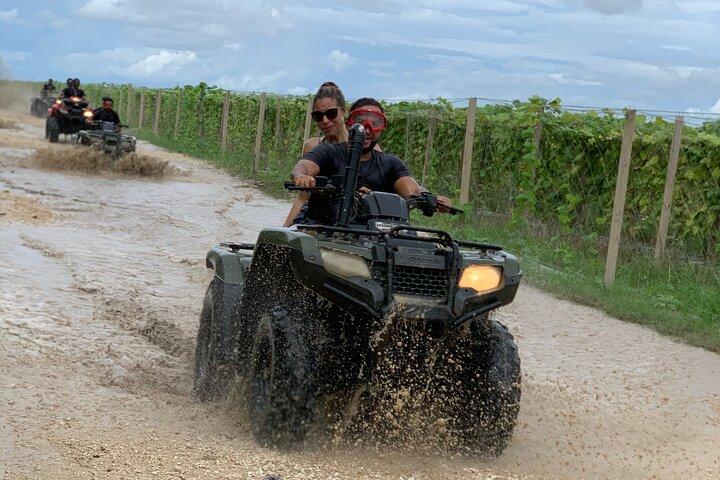 1-Hour 4-Seater UTV Tours