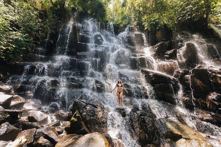 Bali Private All-Inclusive: Swing, Wasserfall & Heiliger Tempel