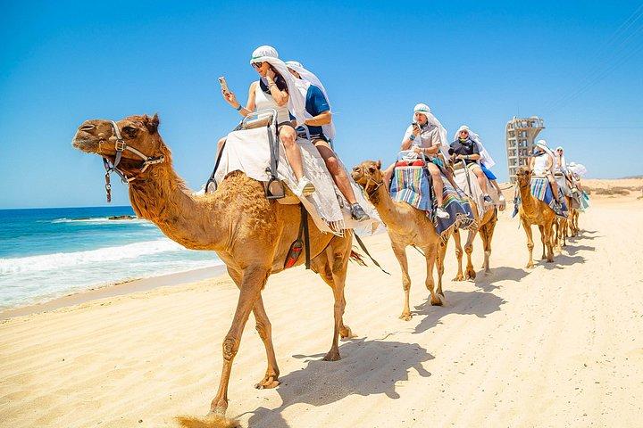 Strand-, ATV- und Kamelritt-Kombitour