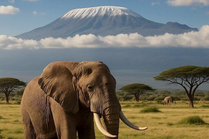 2 Jours 1 Nuit Parc national Amboseli Safari privé.