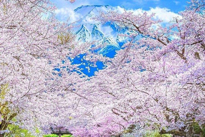 芦ノ湖クルーズ＆ロープウェイで富士山＆箱根観光日帰りツアー
