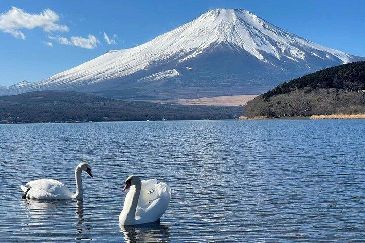 Mount Fuji and Hakone Day Trip with Ropeway Ride
