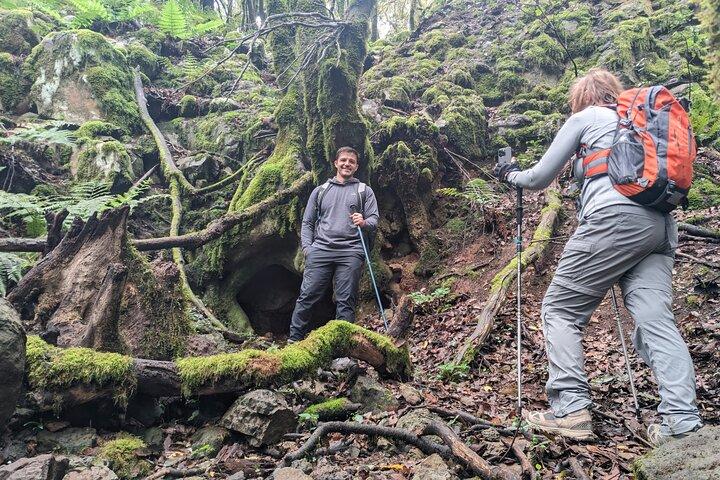 Tenerife Caminhada em Enchanted Forest Above Masca com PICKUP