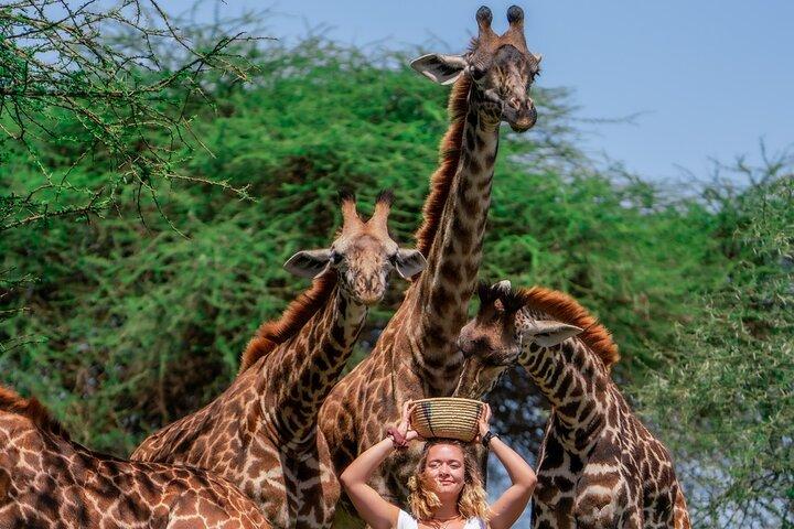Hoteller i nærheden af Serval Wildlife Safari, Materuni Waterfall Hike og Coffee Tour