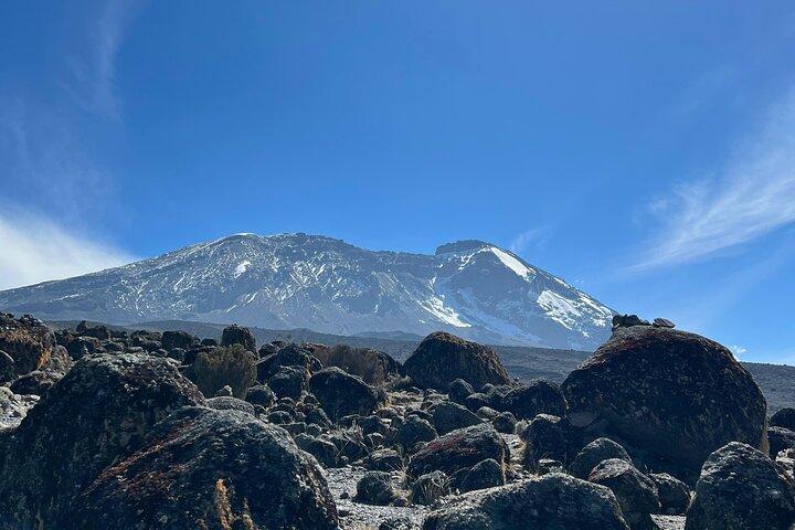 Excursión privada al Monte Kilimanjaro