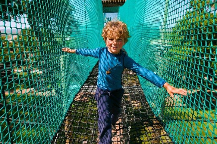 Skynet Playground