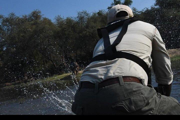 Game Drive and Rhino Walk