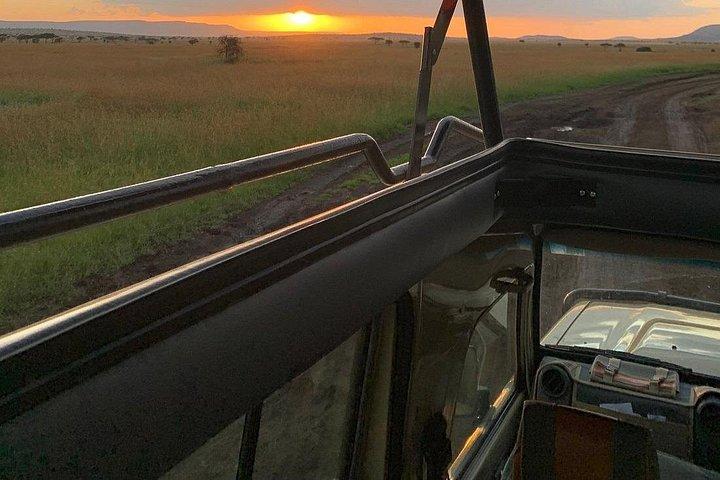 4 Days Private Arusha Safari Tour