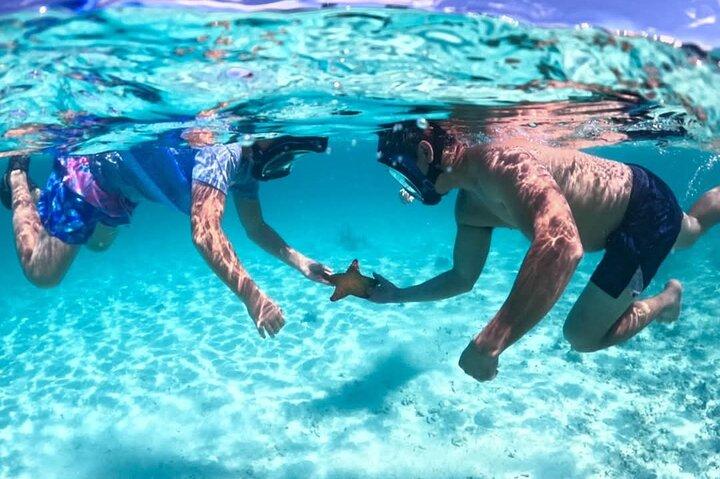 Nassau: 3 îles Cochons, Tortues,Snorkel & Beach Club avec déjeuner