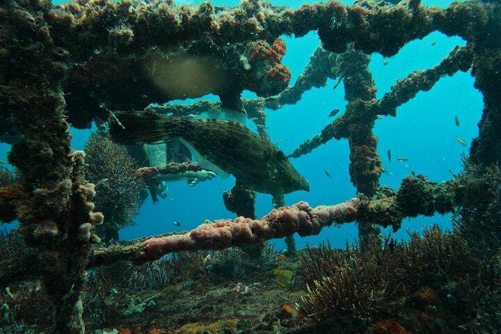 Cartagena : A recreational diving experience