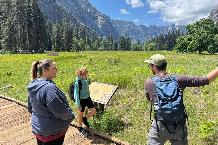 The Evolution of Yosemite: 3-Hour Walking Tour