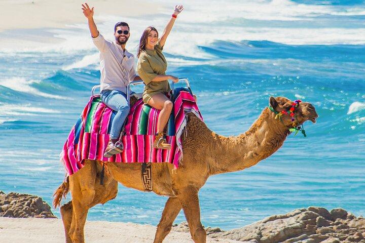 Cabo UTV Tour Free Camel Sky Bike