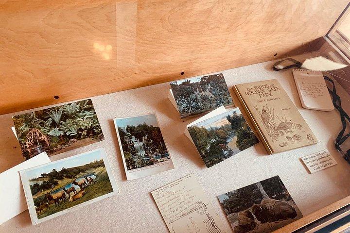 愛の夏サンフランシスコガイド付きeバイクツアーゴールデンゲートパーク