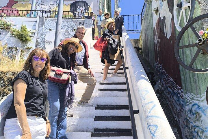 Valparaíso Full-Day privétour met wijnproeverij