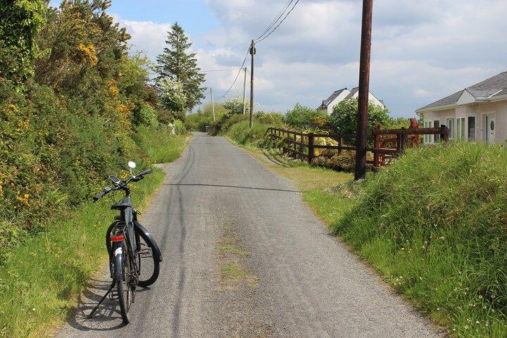 Inis Cealtraツアーe-Bikeライドとホーリーアイランドへのボートトリップ
