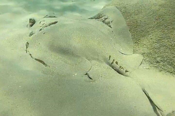 Scuba Diving for Beginners in Limassol Amathus Ruins