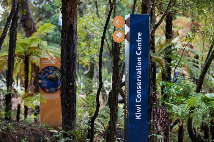 オークランド: ワイオタプ、テ・プイア、マオリ・ハカとロトルアツアー