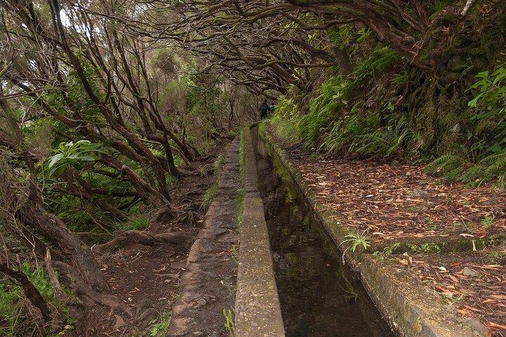 Madeira Levada Paradise Valley