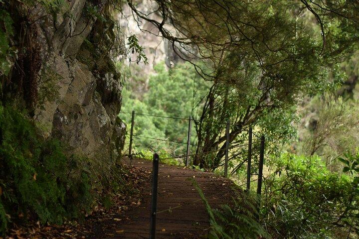 Madeira Levada Paradise Valley