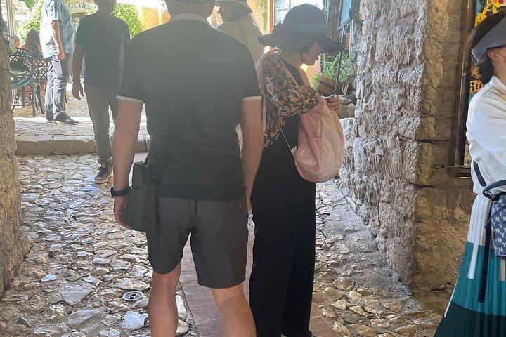 Monaco - Monte Carlo - Eze Village - Excursion privée d'une DEMI-journée