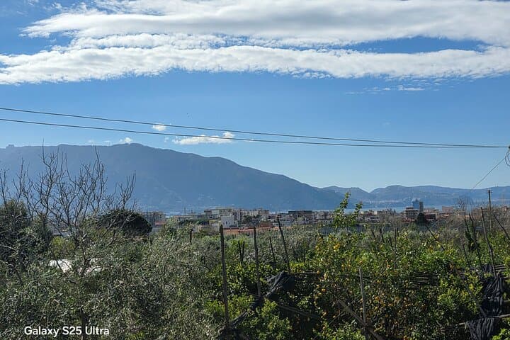 Pompeii : wine and oil tasting with aperitif on the Estate