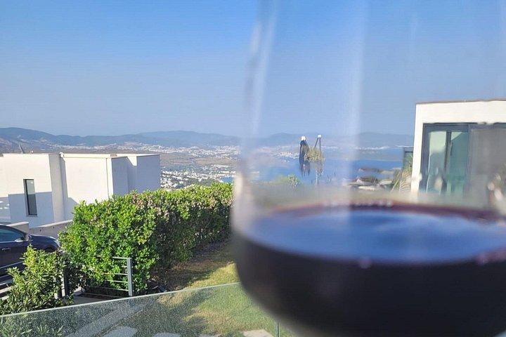 Cook, Sip & Dine with a Local Couple in Bodrum