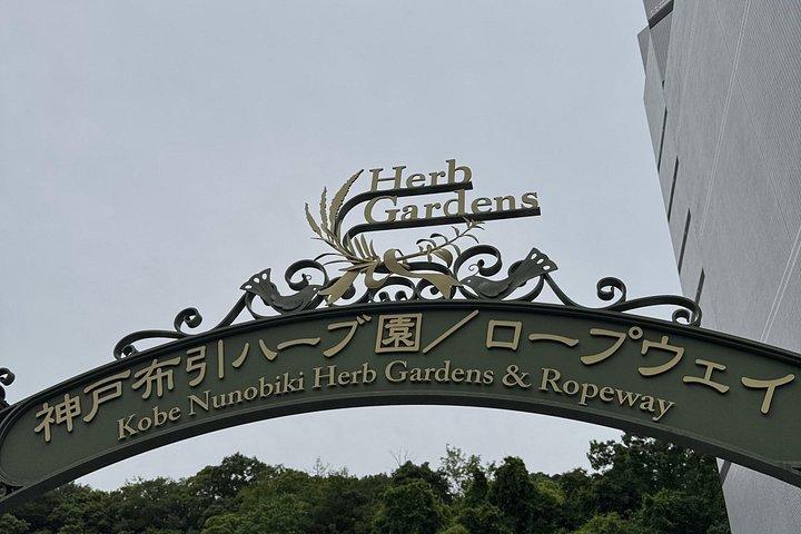 京都奈良大阪神戸内のシングル＆マルチデイアドベンチャー