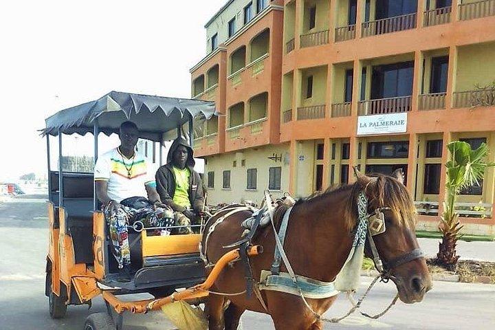 Senegal Highlights 8 Days / 7 Nights