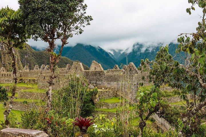 Visite privée d'une demi-journée du Machu Picchu, options multilingues