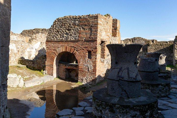 Pompeii and Vesuvius Wine Tasting Private Tour