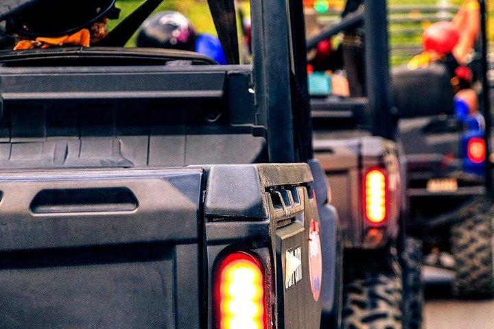 Off-Road-Viking 2 Passanger Explore Rio Cuale Puerto Vallarta