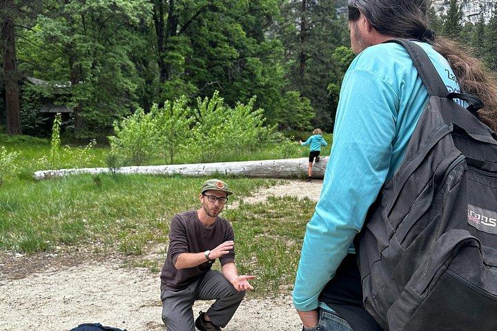 The Evolution of Yosemite: 3-Hour Walking Tour