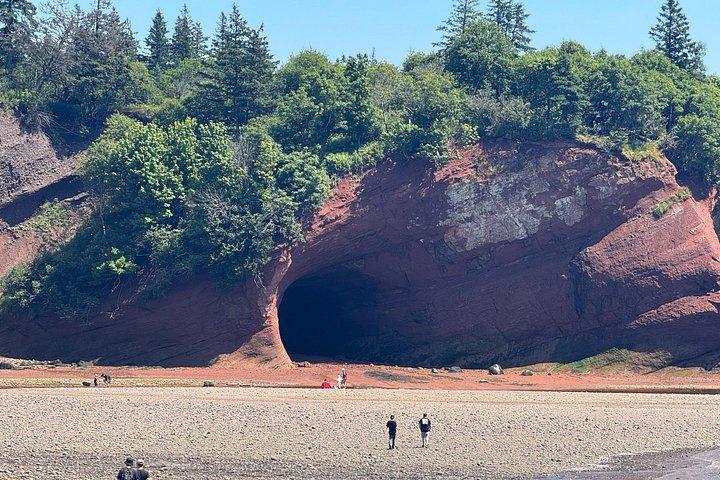 Flyrejser til Fundy Shore med bus
