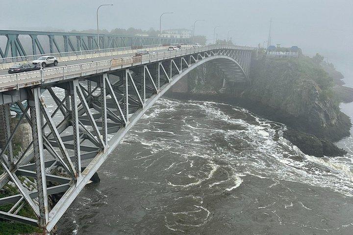 Flyrejser til Fundy Shore med bus